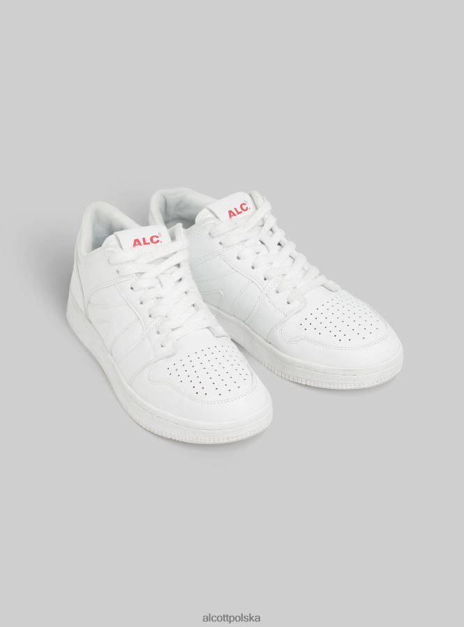 buty Alcott trampki basse sportowe wh2 biały kobiety 2TXFF635