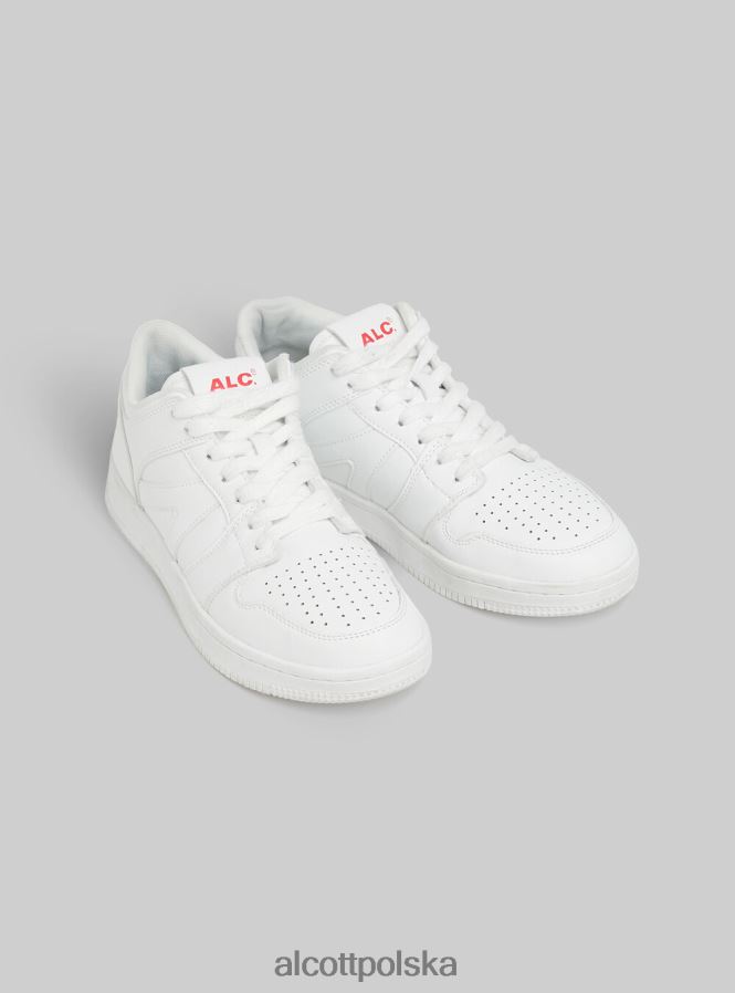 buty Alcott trampki basse sportowe wh2 biały kobiety 2TXFF635