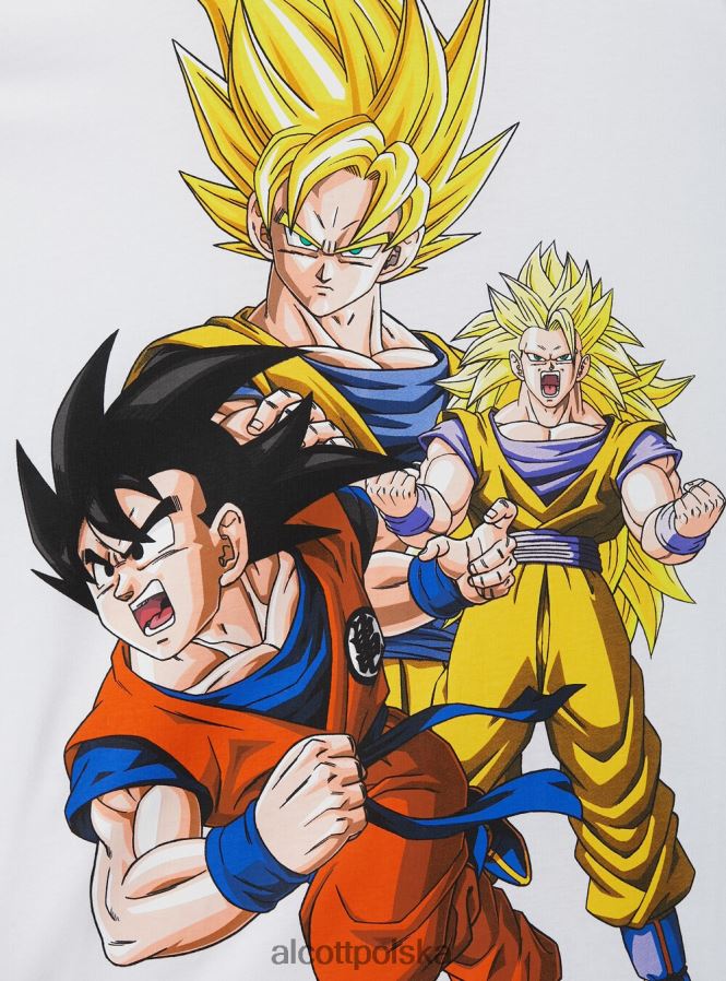 odzież Alcott koszulka ze smoczą kulą w3 biały mężczyźni 2TXFF61104