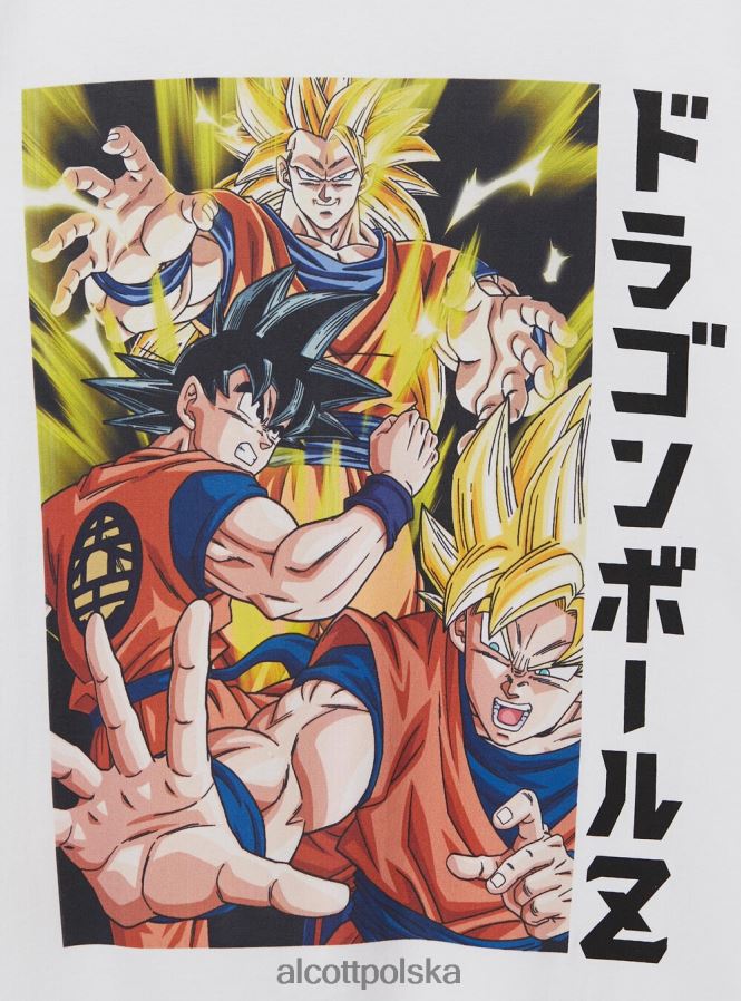 odzież Alcott koszulka ze smoczą kulą w3 biały mężczyźni 2TXFF6662