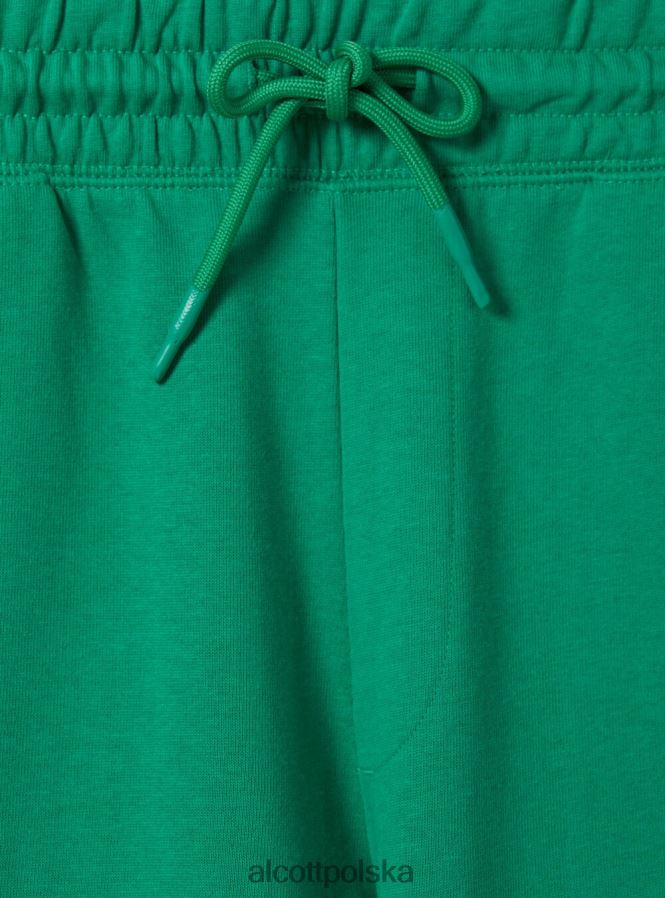 odzież Alcott NBA Bermudy gn2 zielone podłoże mężczyźni 2TXFF61076