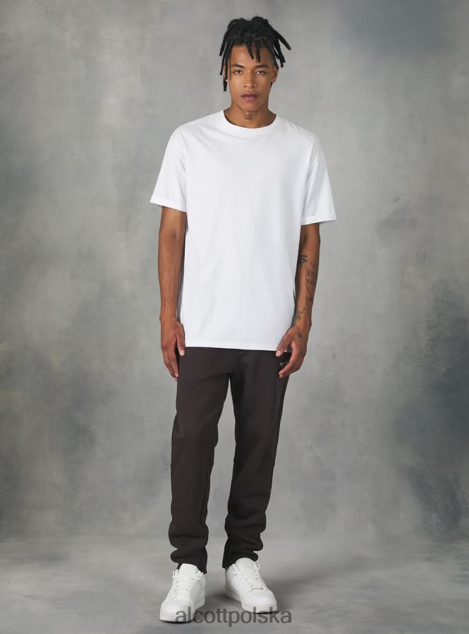 odzież Alcott Spodnie jogger z nadrukiem drużyny 053 bg1 beżowy ciemny mężczyźni 2TXFF61164