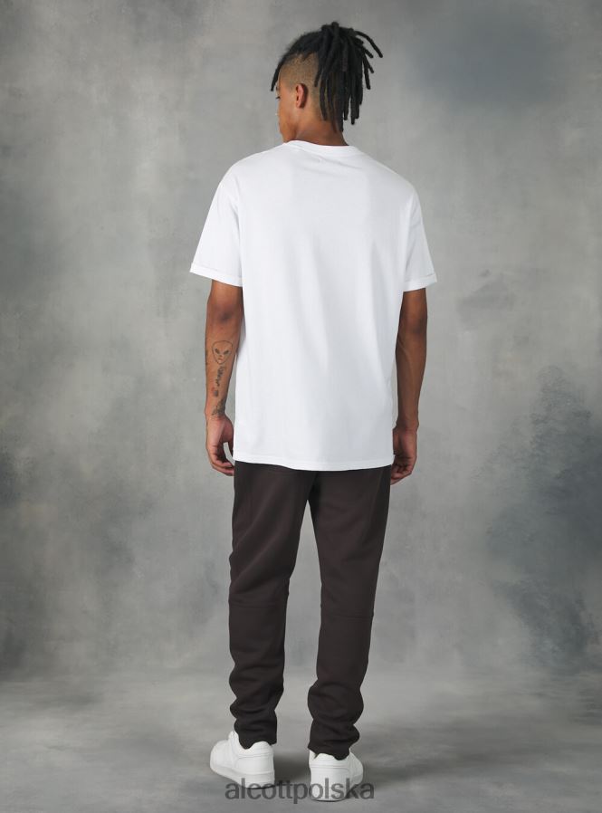 odzież Alcott Spodnie jogger z nadrukiem drużyny 053 bg1 beżowy ciemny mężczyźni 2TXFF61164