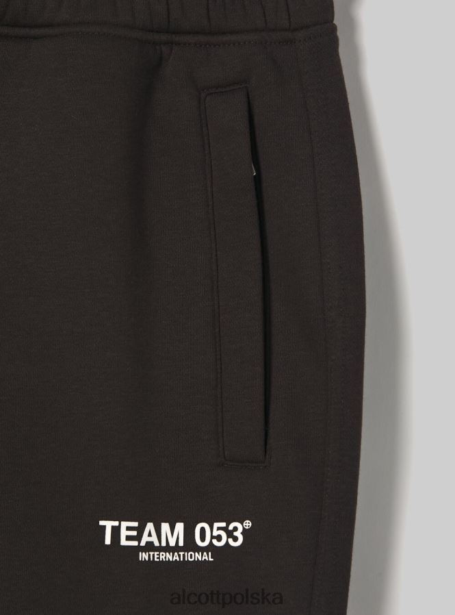 odzież Alcott Spodnie jogger z nadrukiem drużyny 053 bg1 beżowy ciemny mężczyźni 2TXFF61164