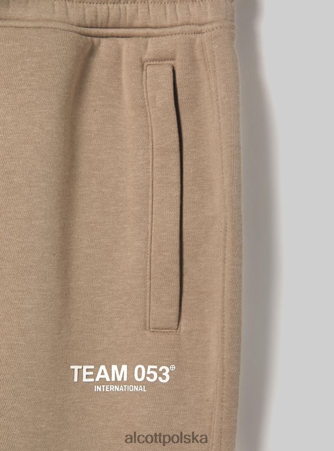odzież Alcott Spodnie jogger z nadrukiem drużyny 053 bg1 beżowy ciemny mężczyźni 2TXFF61174