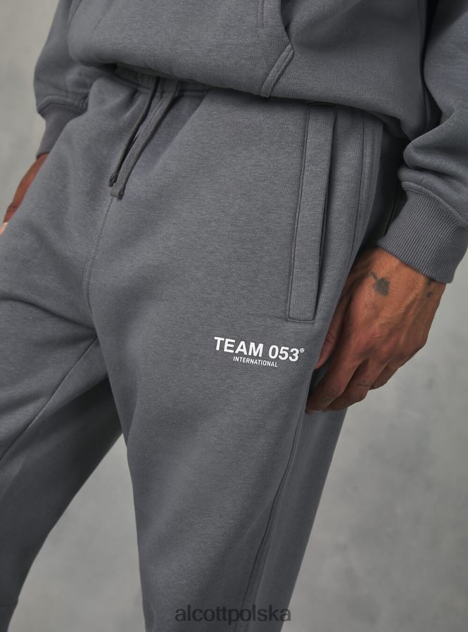 odzież Alcott Spodnie jogger z nadrukiem drużyny 053 bg1 beżowy ciemny mężczyźni 2TXFF6711