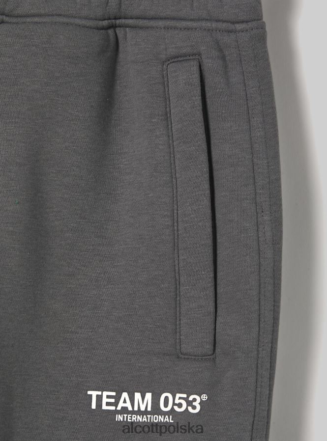 odzież Alcott Spodnie jogger z nadrukiem drużyny 053 bg1 beżowy ciemny mężczyźni 2TXFF6711