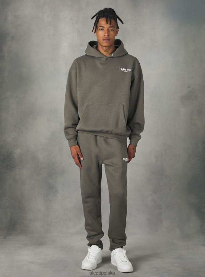 odzież Alcott Spodnie jogger z nadrukiem drużyny 053 bg1 beżowy ciemny mężczyźni 2TXFF6769