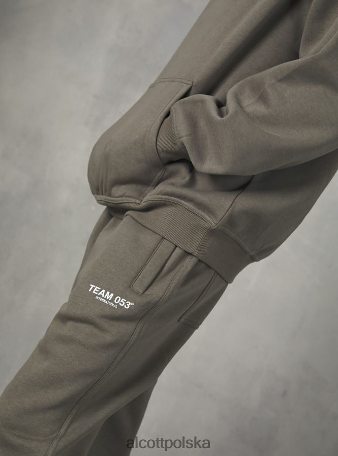 odzież Alcott Spodnie jogger z nadrukiem drużyny 053 bg1 beżowy ciemny mężczyźni 2TXFF6769