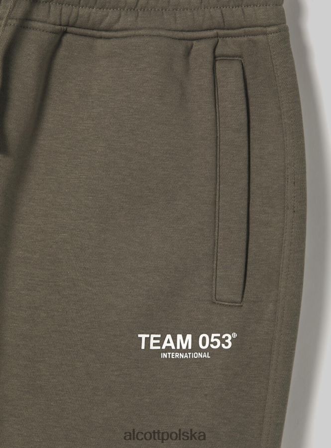 odzież Alcott Spodnie jogger z nadrukiem drużyny 053 bg1 beżowy ciemny mężczyźni 2TXFF6769