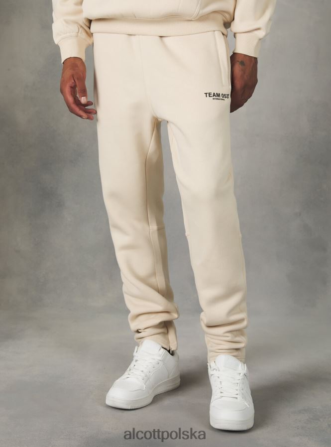 odzież Alcott Spodnie jogger z nadrukiem drużyny 053 bg1 beżowy ciemny mężczyźni 2TXFF6889