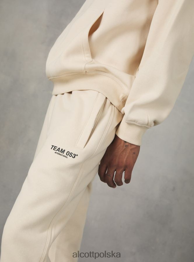 odzież Alcott Spodnie jogger z nadrukiem drużyny 053 bg1 beżowy ciemny mężczyźni 2TXFF6889